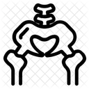 Coxae Hip Bone Innominate Bone Icône