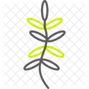 Fern Nature Plant Symbol