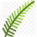 Fern  Icon