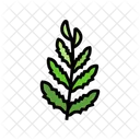 Fern  Symbol