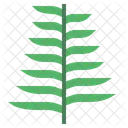 Fern  Symbol