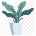 Fern  Icon