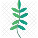 Fern Nature Plant Icon