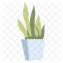 Fern Pot  Icon