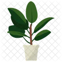 Indoor Plant Ornamental Plant Houseplant Decoration Icon