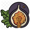 Fig  Icon