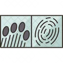 Fingerprint  Icon