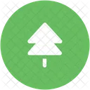 Fir Tree Forest Icon