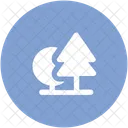 Fir Tree Forest Icon