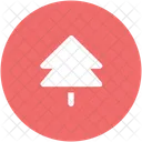 Fir Tree Pine Icon