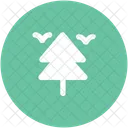 Fir Tree Forest Icon