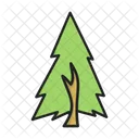 Ecology Fir Tree Icon