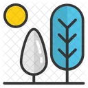 Sun Fir Tree Icon