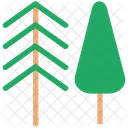 Fir Tree Forest Icon