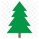 Fir Tree Plant Icon