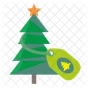 Fir Tree Plant Icon