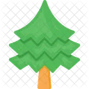 Pine Tree Evergreen Icon