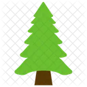 Tree Fir Pine Icon