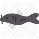 Fish  Icon