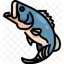 Fish Seafood Fishing Icon