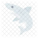 Fish  Icon