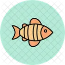 Fish  Icon