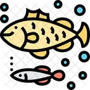 Fish  Icon