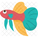 Fish  Icon