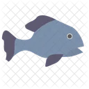 Fish  Icon