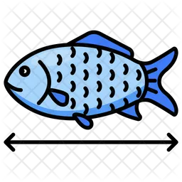 Fish  Icon