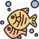 Fish  Icon