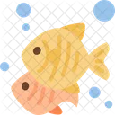 Fish  Icon