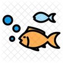 Fish  Icon