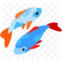 Fishes  Icon