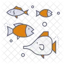 Fishes  Icon