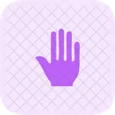 Five Finger Hand Sign High Five Icon