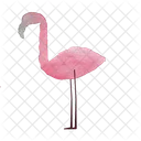 Flamingo Animal Bird Icon