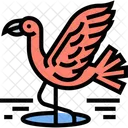 Flamingo Wildlife Animal Icon