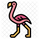 Flamingo  Ícone