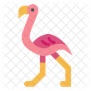 Flamingo  Ícone