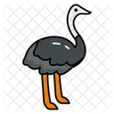 Flightless Birds Largest Bird Species Fast Running Abilities Icon