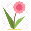 Flora Floral Flower Icon