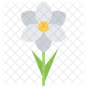 Flora  Icon