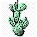 Cactuscolor Icon