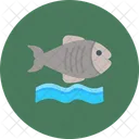 Flounder Fish Sea Icon