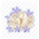 Flower  Icon