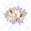 Flower  Icon