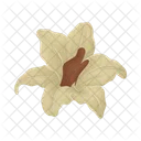 Flower  Icon