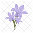 Flower  Icon