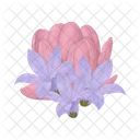 Flower Nature Blossom Icon